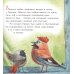 Пряник и Вареник: Звездочеты. 2-е изд., стер