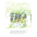 Мишка Бруно летит на Луну: книжка-картинка