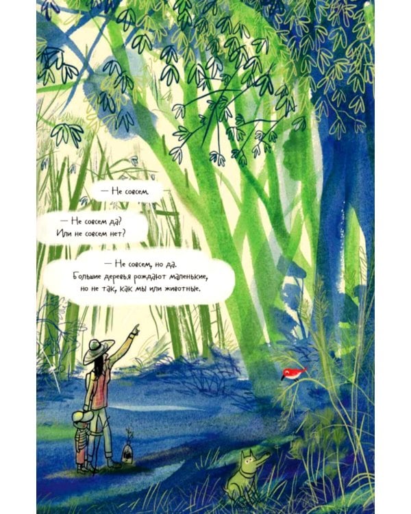 Дополнительное изображение книги «Как рождаются деревья»