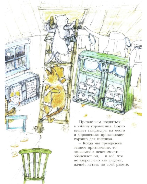 Мишка Бруно летит на Луну: книжка-картинка