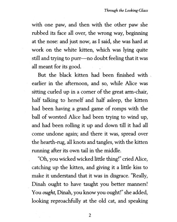 Through the Looking-Glass