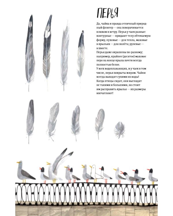Дополнительное изображение книги «Петербург - город чаек»