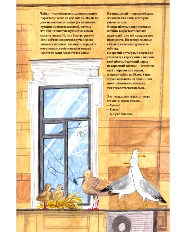 Дополнительное изображение книги «Петербург - город чаек»