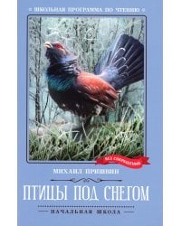 Птицы под снегом: рассказы