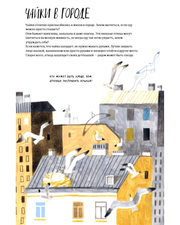 Дополнительное изображение книги «Петербург - город чаек»