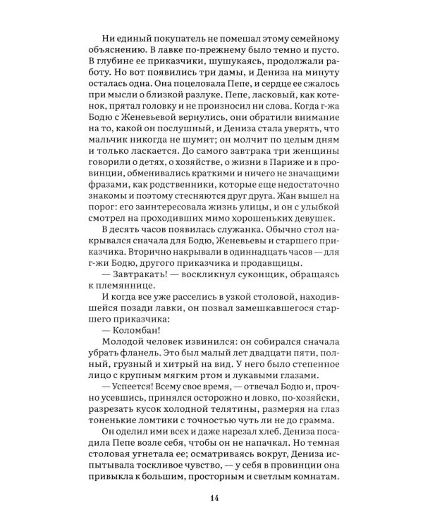 Дамское счастье: роман