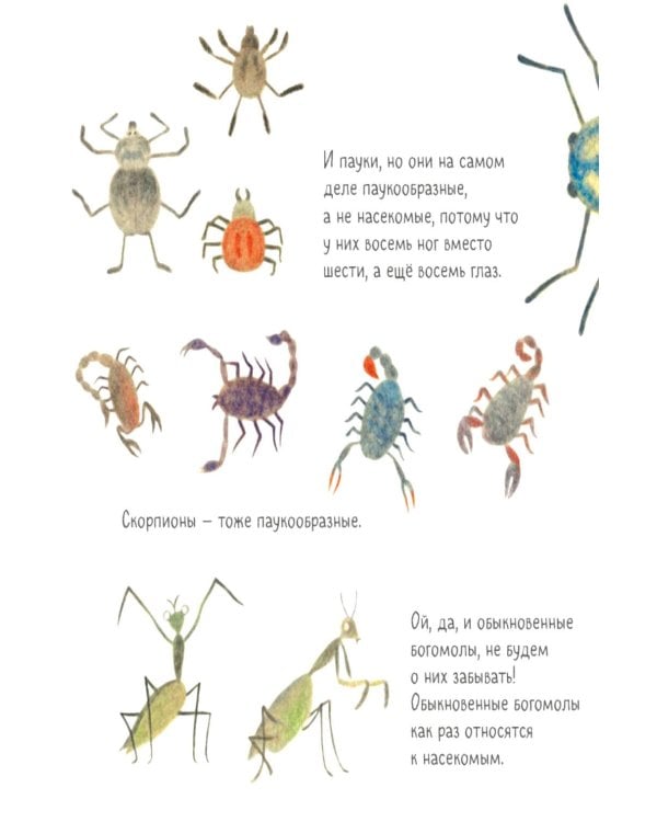 Дополнительное изображение книги «Нарисуй мне»