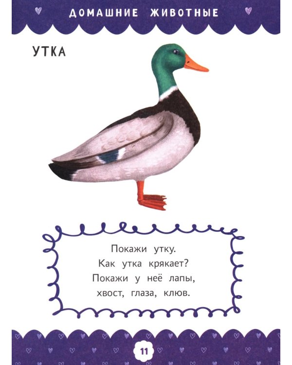 Полный курс развивающих заданий для самых маленьких: 1-2 года