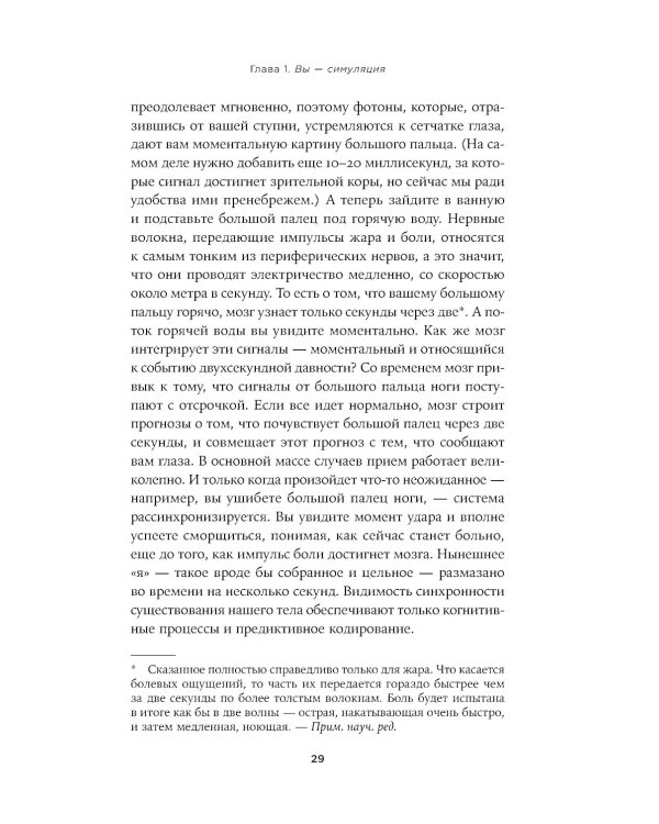 Иллюзия себя: Что говорит нейронаука о нашем самовосприятии