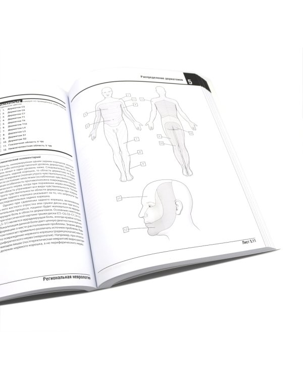 Неврология. Атлас с иллюстрациями Неттера; Атлас-раскраска с рисунками Неттера (комплект из 2-х книг)