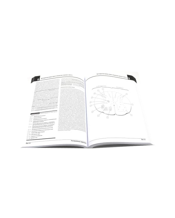 Неврология. Атлас с иллюстрациями Неттера; Атлас-раскраска с рисунками Неттера (комплект из 2-х книг)