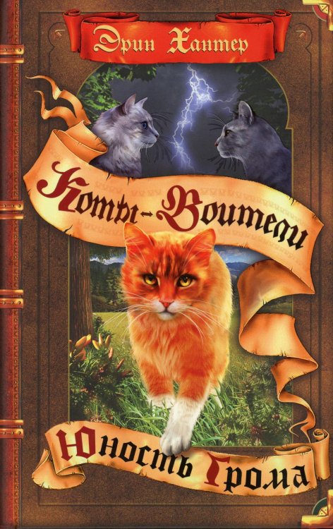 Коты-воители Коты-воители. Юность Грома