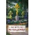Как вести себя на кладбище. Практические советы о поведении на кладбище и поминании усопших. Лития, совершаемая мирянином дома и на кладбище