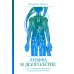 Лимфа и долголетие: Путь к укреплению иммунитета и предупреждению болезней Лимфа и долголетие: Путь к укреплению иммунитета и предупреждению болезней