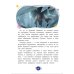 Дополнительное изображение книги «Лунтик. Обратная сторона Луны»