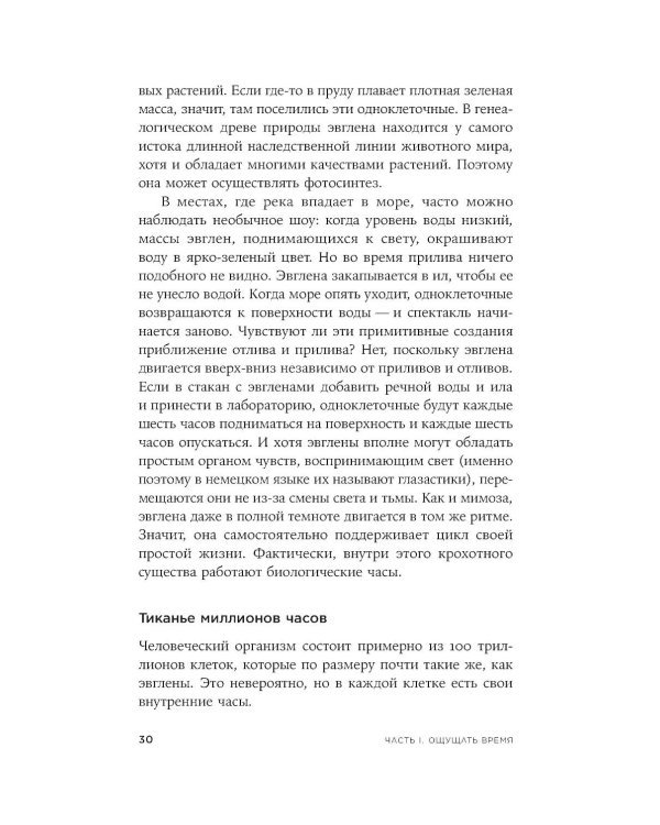 Чувство времени: Почему ожидание тянется, а счастье мчится