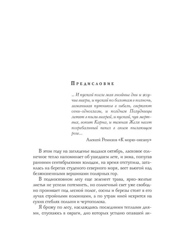 Тихие омуты