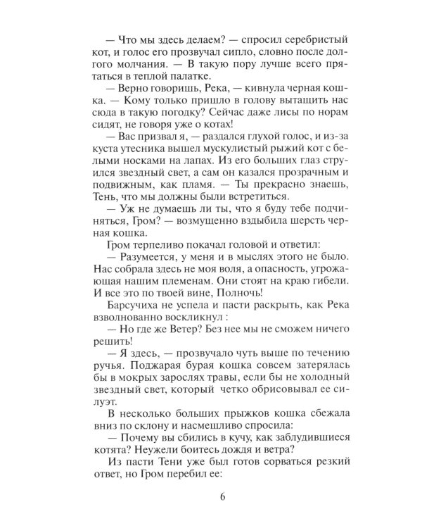 Коты-воители. Длинные тени