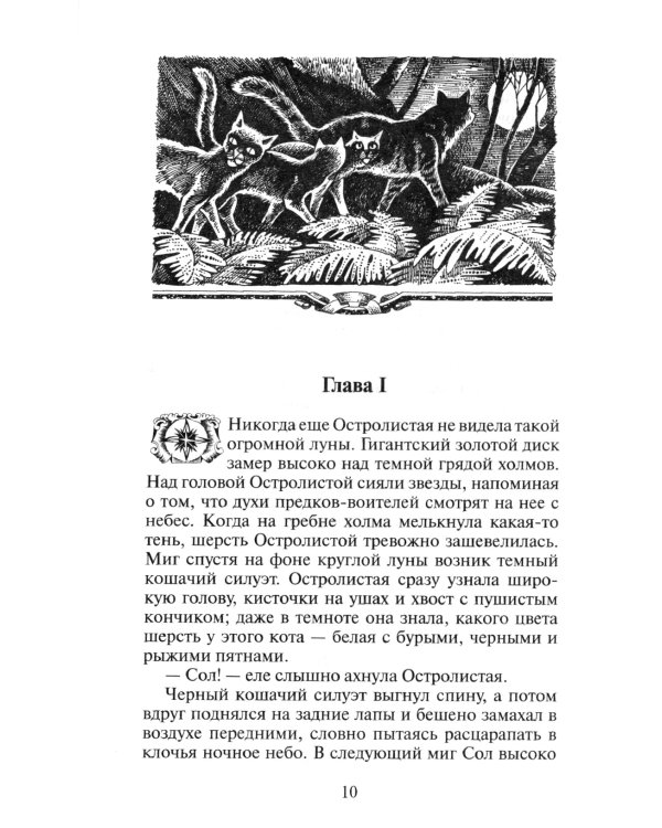 Коты-воители. Длинные тени