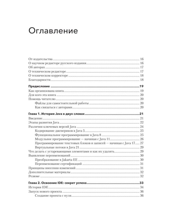 Дополнительное изображение книги «Java для профи. Инструменты, фреймворки, тестирование, производительность (Spring, Git, Prometheus, Project Lombok)»