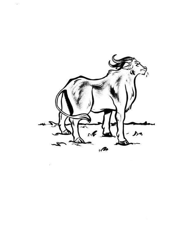 Мхитар Гош. Басни XII века