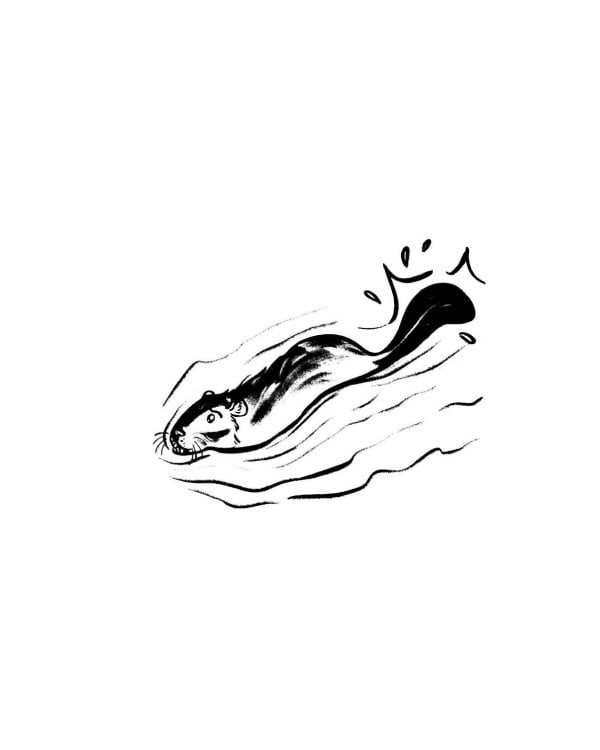 Мхитар Гош. Басни XII века