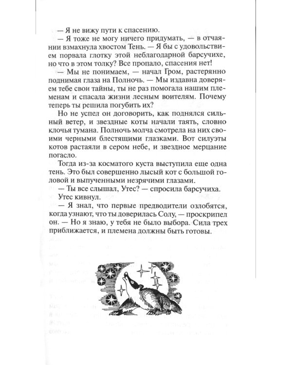 Коты-воители. Длинные тени