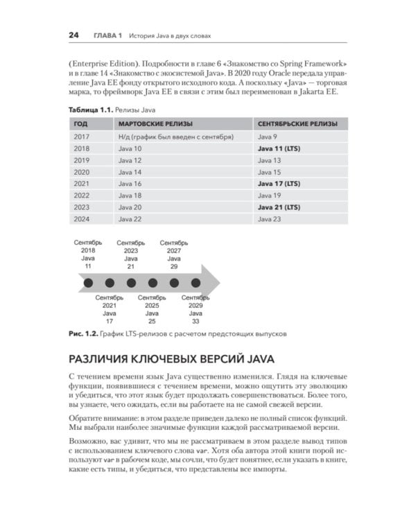 Дополнительное изображение книги «Java для профи. Инструменты, фреймворки, тестирование, производительность (Spring, Git, Prometheus, Project Lombok)»