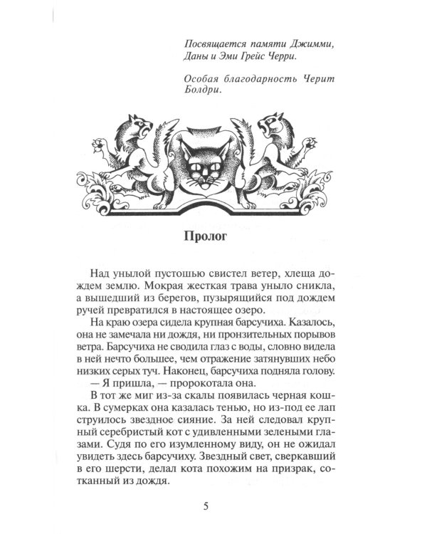 Коты-воители. Длинные тени