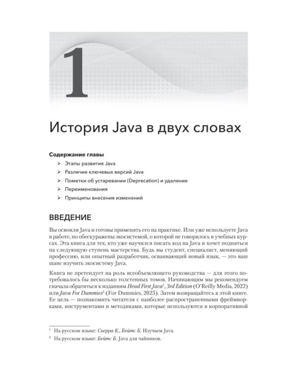 Дополнительное изображение книги «Java для профи. Инструменты, фреймворки, тестирование, производительность (Spring, Git, Prometheus, Project Lombok)»