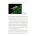 Жизнь певчих птиц. Популярные очерки экологии, размножения, филопатрии, демографии Жизнь певчих птиц. Популярные очерки экологии, размножения, филопатрии, демографии