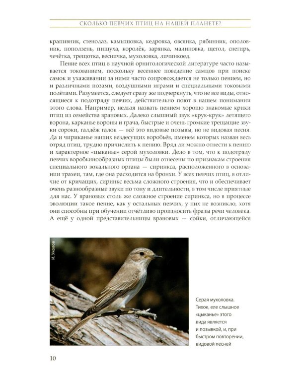 Жизнь певчих птиц. Популярные очерки экологии, размножения, филопатрии, демографии