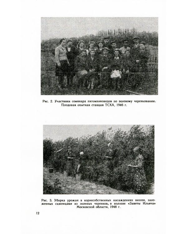 Зеленое черенкование садовых и лесных культур: Теория и практика. 2-е изд., стер