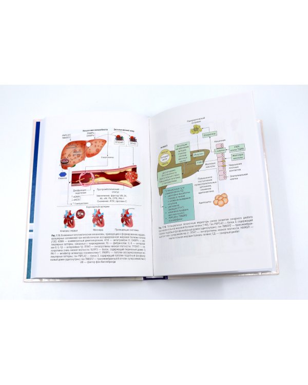 Управление метаболическим здоровьем. В 3 т