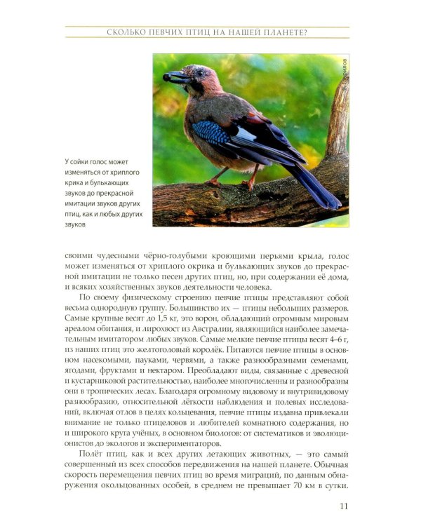 Жизнь певчих птиц. Популярные очерки экологии, размножения, филопатрии, демографии