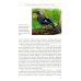 Жизнь певчих птиц. Популярные очерки экологии, размножения, филопатрии, демографии Жизнь певчих птиц. Популярные очерки экологии, размножения, филопатрии, демографии