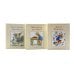 The World of Peter Rabbit (Complete Collection 23 books)