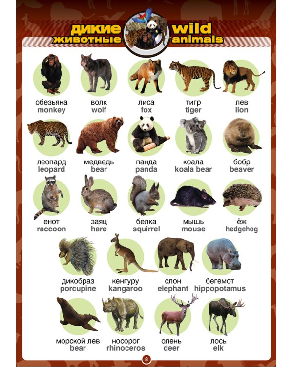 Говорящий англо-русский и русско-английский словарь с картинками. Книга для говорящей ручки "Знаток"