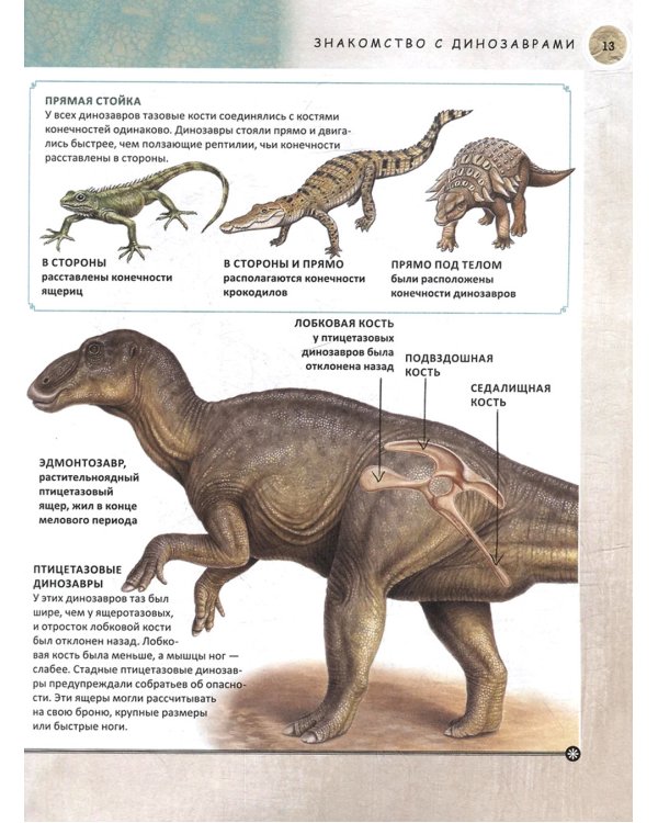 Динозавры. Полная энциклопедия