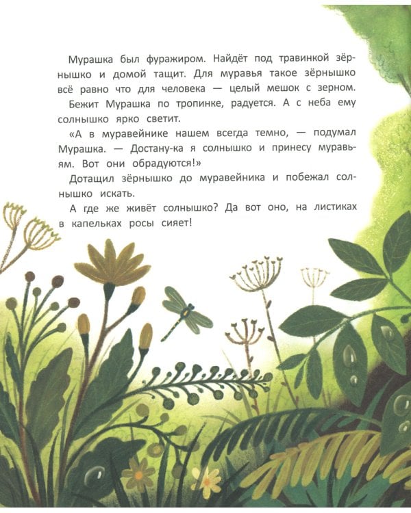 Как муравей за солнышком ходил