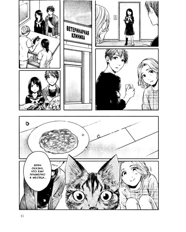Я кот, я пес, я друг