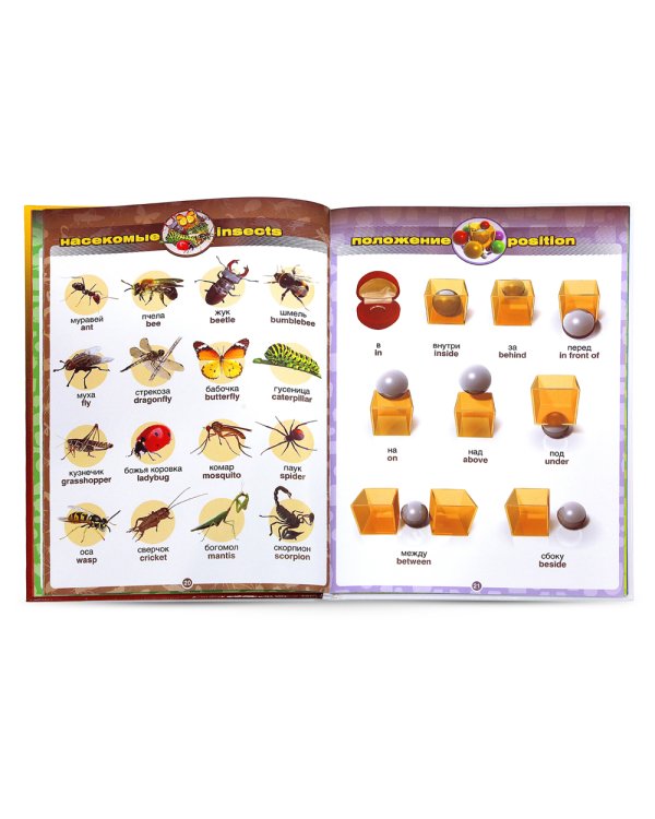 Говорящий англо-русский и русско-английский словарь с картинками. Книга для говорящей ручки "Знаток"