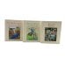 The World of Peter Rabbit (Complete Collection 23 books)