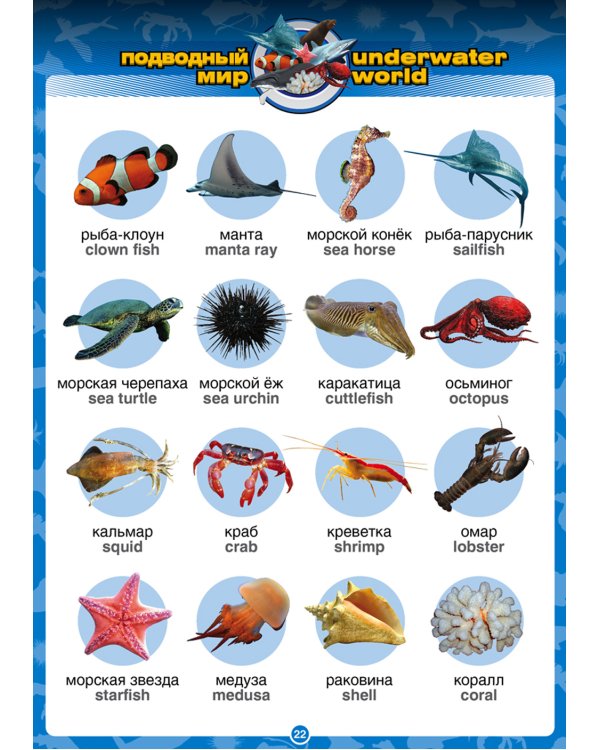 Говорящий англо-русский и русско-английский словарь с картинками. Книга для говорящей ручки "Знаток"