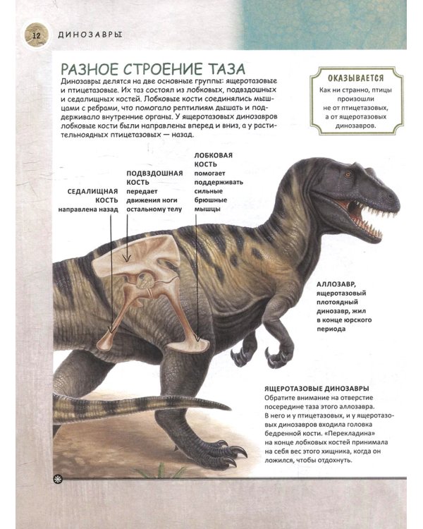 Динозавры. Полная энциклопедия