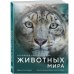 Огромная энциклопедия животных мира