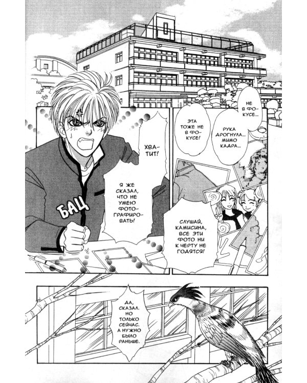 Созвездие воображаемых зверей. Т. 4