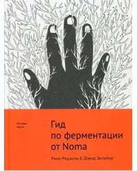 Гид по ферментации от Noma