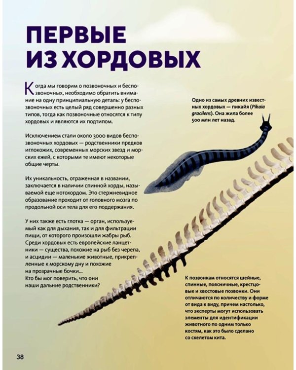 Огромная энциклопедия животных мира