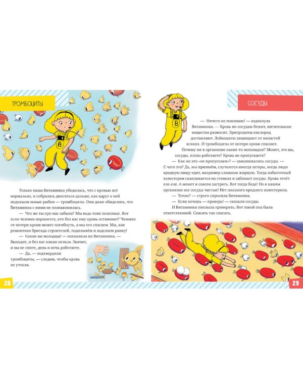 Тело человека